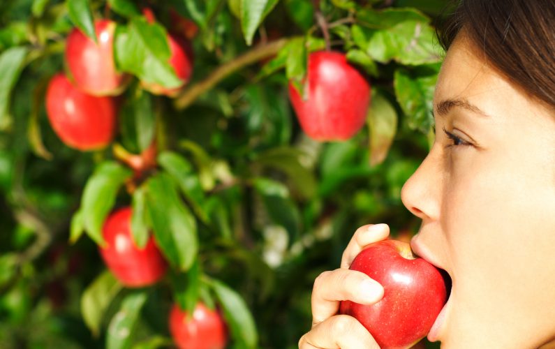 Woman eating apple in front of apple tree. Profile close-up of beautiful mixed race woman. Click for: